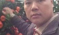 娱乐吃瓜橘子哥是谁,网络红人的崛起之路