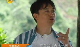 黄磊圈内人爆料视频大全,揭秘娱乐圈不为人知的一面